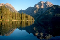 Visitors at Grand Teton Park in Wyoming were tracked by scientists with GPS devices.