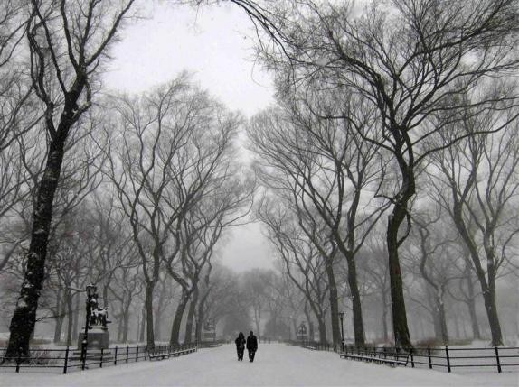 wintertime in NYC's Central Park