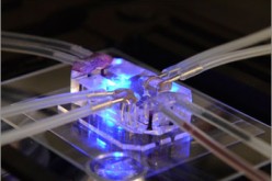 Combining microfabrication techniques with modern tissue engineering, lung-on-a-chip offers a new in vitro approach to drug screening by mimicking the complicated mechanical and biochemical behaviors of a human lung.