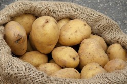 A sack of cleaned potatoes