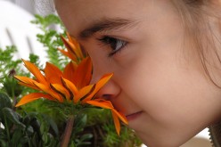 girl smelling flower