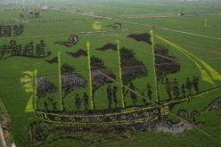 A 3D image on a rice paddy in Xibo town, Shenyang, Liaoning Province.