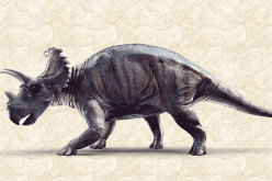Wendiceratops pinhornensis is the latest dinosaur discovered, one that features forward curling horns on its head frill