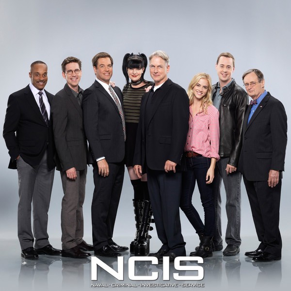 The "NCIS" TV series was created by Donald P. Bellisario and Don McGill.