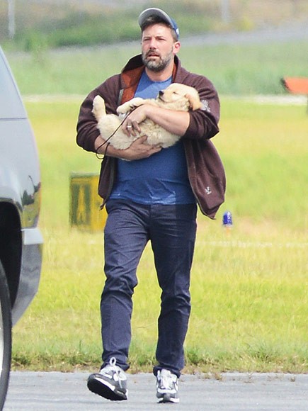 Ben Affleck With His Golden Retriever Puppy