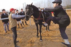 A student learns how to mount a horse from a trainer in a riding club in Changping.