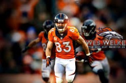 Dec 8, 2013; Denver, CO, USA; Denver Broncos wide receiver Wes Welker (83) celebrates after scoring a touchdown during the first half against the Tennessee Titans at Sports Authority Field at Mile High. 