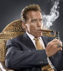 Arnold Schwarzenegger will be featured in "WWE 2K16."