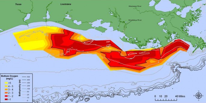 Map showeing distribution of bottom-water dissolved oxygen from July 28 to August 3, west of the Mississippi River delta. Black lined areas — areas in red to deep red — have very little dissolved oxygen.