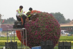 Workers make finishing touches to ornamental plants in a park in Beijing in preparation for the Athletics World Championships in late August and a military parade in September.