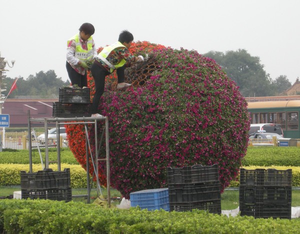 Workers make finishing touches to ornamental plants in a park in Beijing in preparation for the Athletics World Championships in late August and a military parade in September.