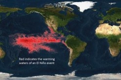The National Oceanic and Atmospheric Administration (NOAA) image shows the warming waters of an El Nino event in the Pacific Ocean.