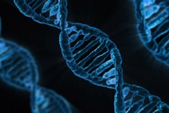A fraction of an ounce of DNA can store up to 300,000 terabytes of digital data.