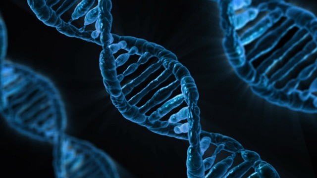 A fraction of an ounce of DNA can store up to 300,000 terabytes of digital data.