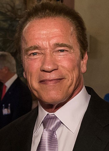 Arnold Schwarzenegger will be guesting on "The Voice of China" to promote "Terminator Genisys."