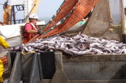 Rope trawl for midwater trawling.