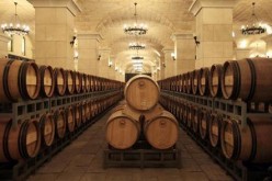 Winery has shown potential as an attractive investment around the globe.