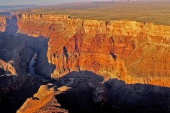 Traces of mercury and selenium are found in wildlife in the Grand Canyon.