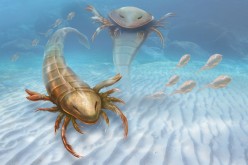 Artistic conception of the Pentecopterus decorahensis, an ancient predator of the seas. 