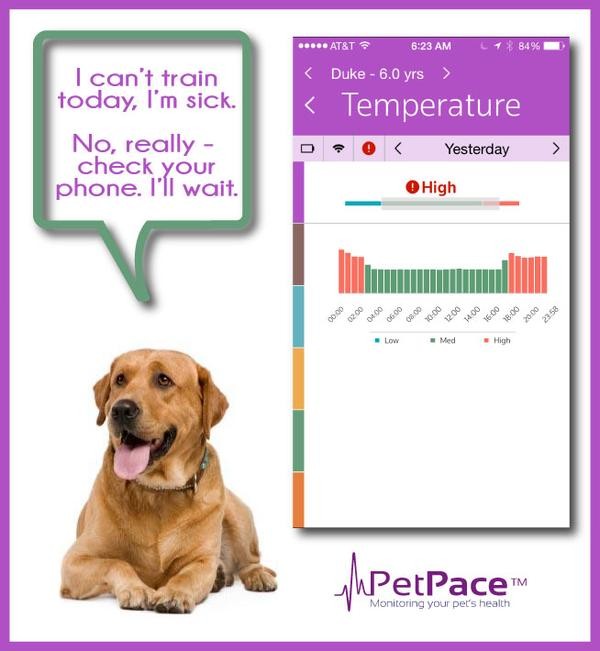 PetPace smart pet collar