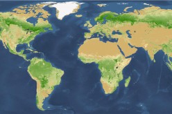 There are now 3 trillion trees on Earth right now, compared to the prior estimate of 400 billion.