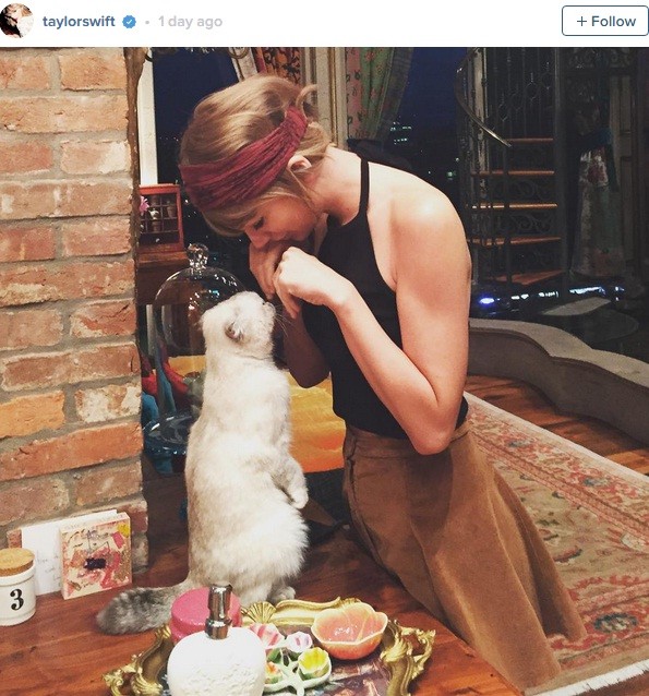 Taylor Swift playing with her cat, a photo she uploaded on Instagram.