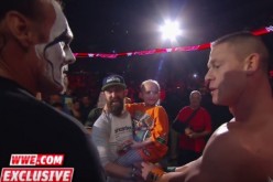 John Cena and Sting