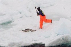 Seal Hunter