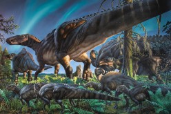 A new species of duck billed, plant eating dinosaurs were discovered in Alaska.