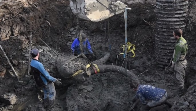 Farmer discovers mammoth remains in Lima Township, Michigan.