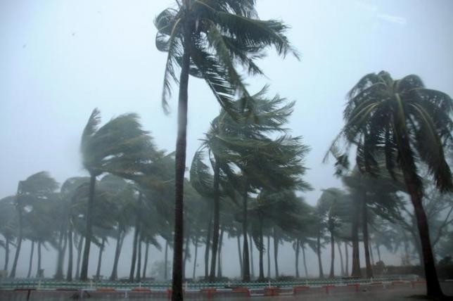 Trees are blown by Typhoon Mujigae on a street in Zhanjiang, Guangdong Province, Oct. 4, 2015.