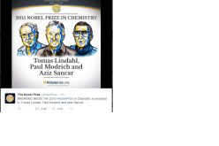 The 2015 Nobel Prize in Chemistry was awarded to Tomas Lindahl, Paul Modrich and Aziz Sancar.