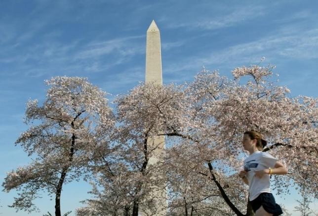 Jogger in Washington D.C.