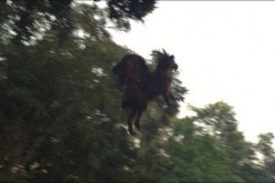 An alleged pic of Jersey Devil is trending online.
