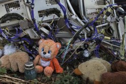 A teddy bear is placed next to wreckage at the site of the downed Malaysia Airlines flight MH17, near the village of Hrabove 
