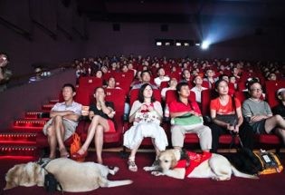 China is currently the second largest movie market in the world, making it an enticing territory for Hollywood.