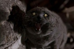 “Pet Sematary” had its cinematic adaptation by helmed by director Mary Lambert in 1989. 