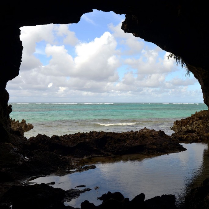 More than 100 fossils were uncovered from a flooded cave in Great Abaco Island in the Bahamas.