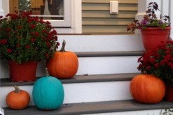 Teal Pumpkin Project