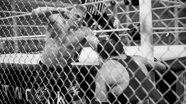 Brock Lesnar vs The Undertaker at Hell in a Cell