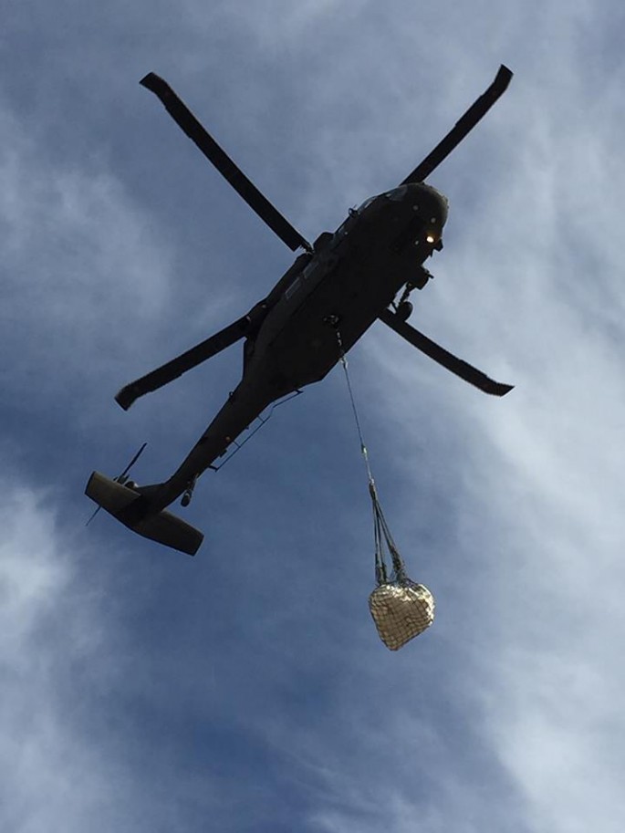 Baby Pentaceratops being airlfted from Bisti via the National Guard's Blackhawk helicopters.