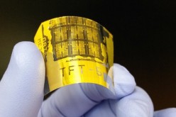 Developed by UW electrical engineers, this unique phototransistor is flexible, yet faster and more responsive than any similar phototransistor in the world.