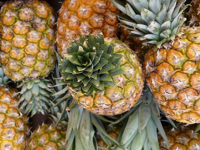Pineapple genome sequence can help develop new crops resistant to climate change.