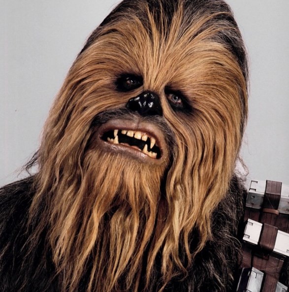 Peter Mayhew is Chewbacca in J.J. Abrams' "Star Wars: Episode VII - The Force Awakens." 