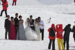 Chinese tourists in wedding garb have their pictures taken during their visit to Antarctica.
