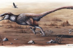 The Dakotaraptor is just as lethal and quick as the Velociraptor.