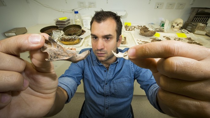 Julien Louys holds the jaw bone of a giant rat species discocvered on East Timor, up against a comparison with the same bone of a modern rat