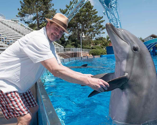 In this handout photo provided by SeaWorld San Diego, actor and comedian David Koechner spent a day with his family at SeaWorld San Diego where he met Malibu, a 17-year old female bottlenose dolphin A