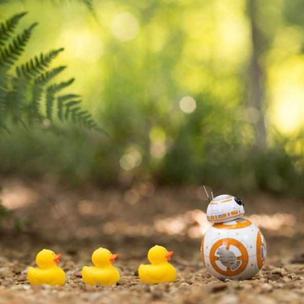 The cute BB-8 droid is a real robot, not CGI.