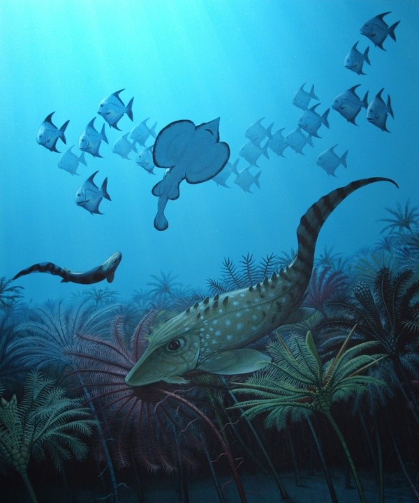 An imagined post-extinction scene, when the ocean was filled with tiny fish. 